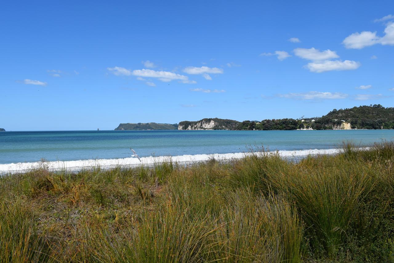 Paradise In Whitianga B&B Wells Place Exteriér fotografie